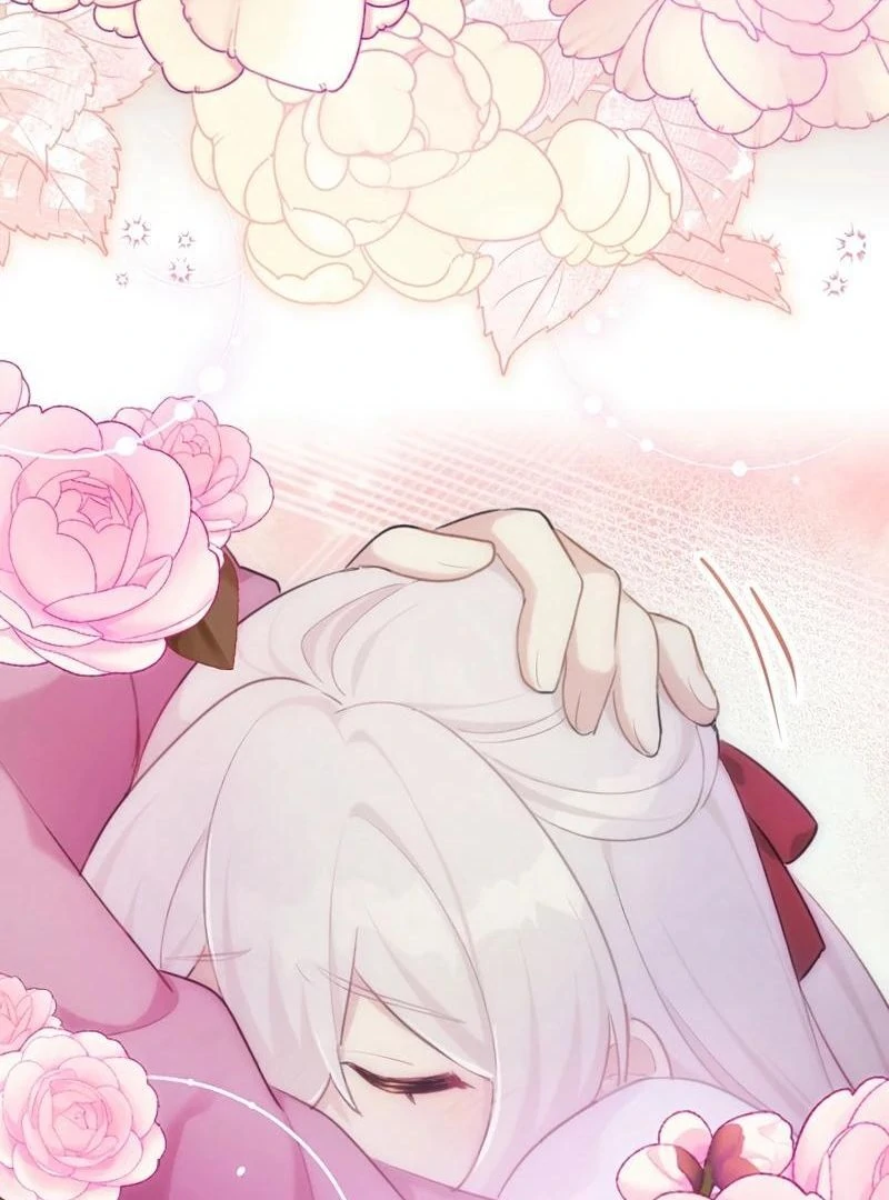 71590073 800 1080 96040